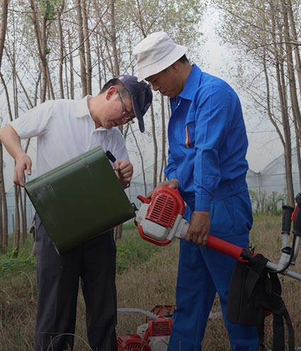 Chain saw use and maintenance